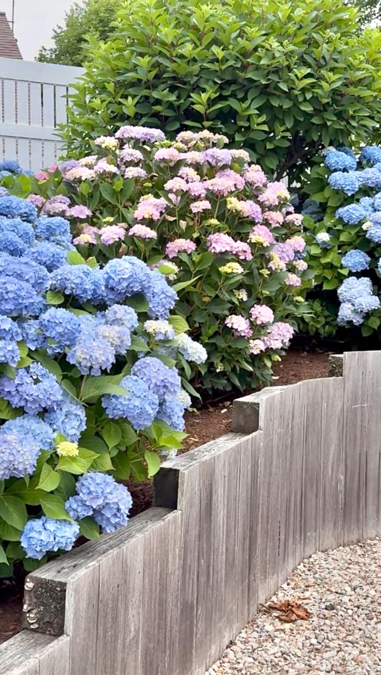 Hydrangea #1 Ombré Necklace: 50 Shades of Hydrangea Series