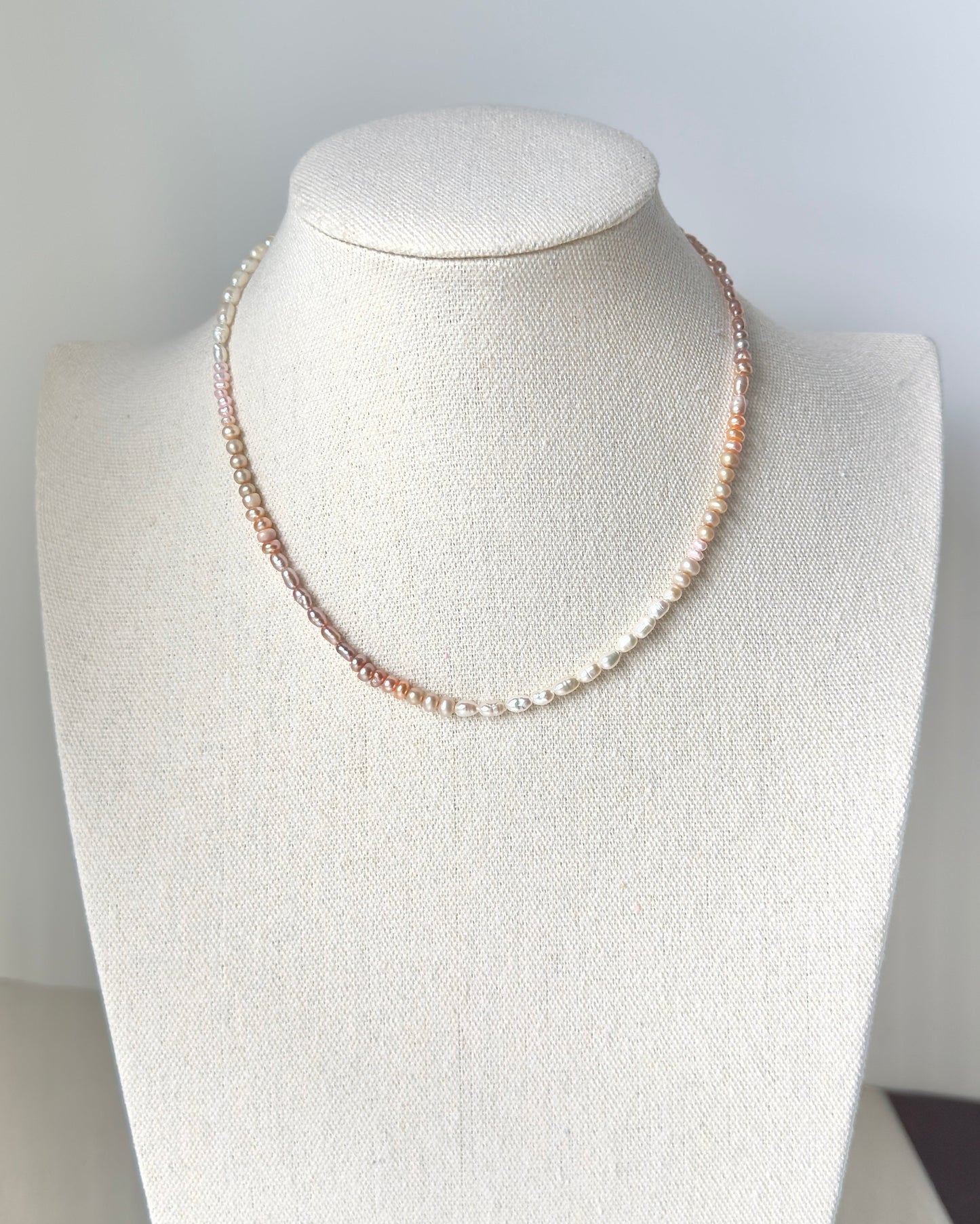 Warm Glow • Morning Blush
